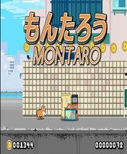 吃瓜在线站长,揭秘网络红人的幕后故事