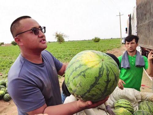 迎新吃瓜,吃瓜群众齐聚一堂