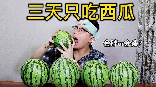 天空飞升后吃瓜,揭秘飞升后的瓜界传奇