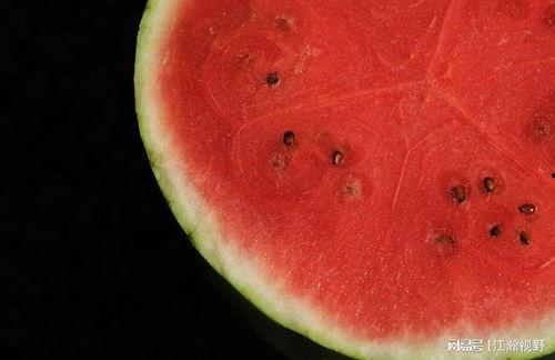 吃瓜怎么不问价,轻松识货，不问价攻略