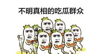 生活中吃瓜群众,吃瓜群众视角下的娱乐圈风云录