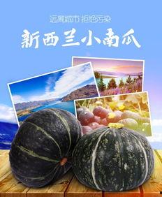 无敌小浓瓜吃瓜,吃瓜群众的欢乐盛宴