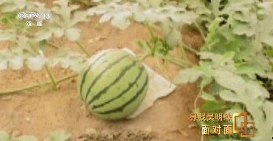 科研吃瓜,揭秘实验室里的“八卦风云”